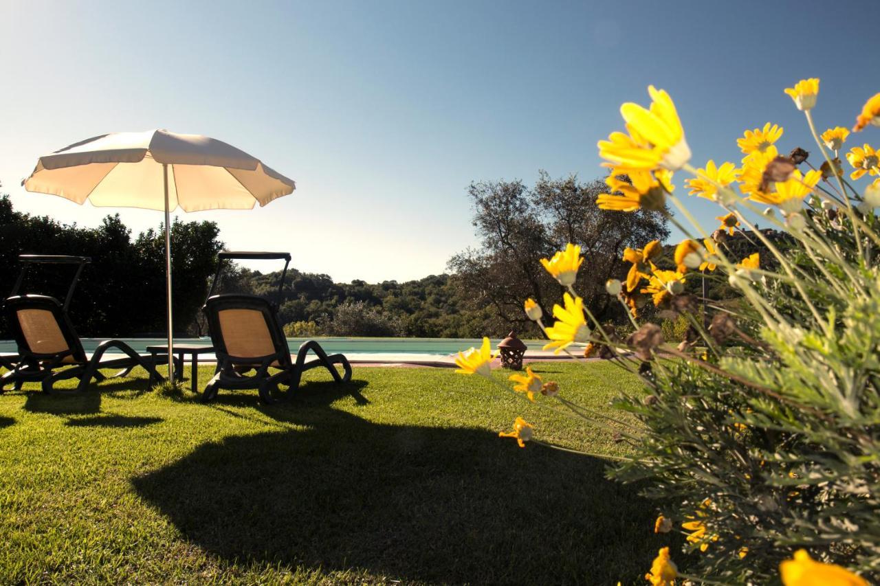 Poggio Sasseta Montiano (Tuscany) Exterior photo